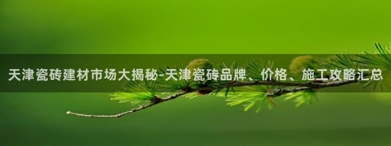 杏鑫平台是黑平台吗