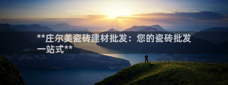 杏鑫娱乐开发团队