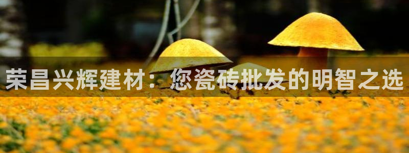 杏鑫平台怎么样黑钱吗是真的吗