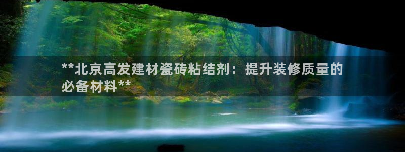 杏鑫主管