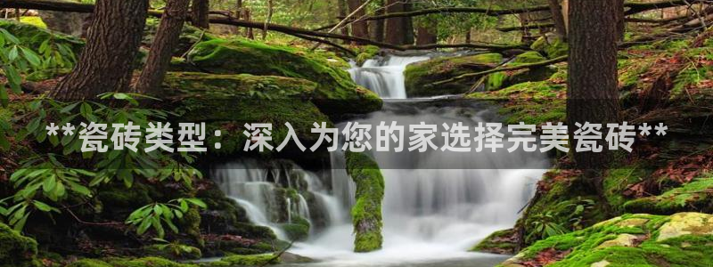 杏鑫招商总代