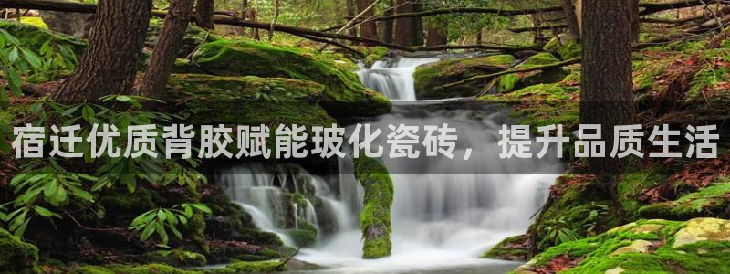 杏鑫平台正规吗