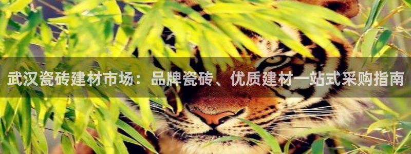 杏鑫平台测速怎么样