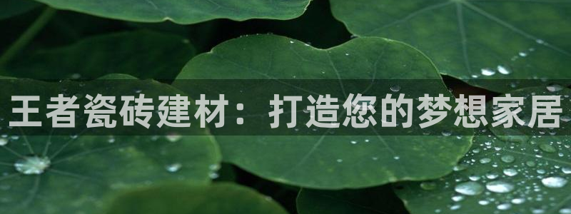 杏鑫平台怎么样黑钱吗是真的吗