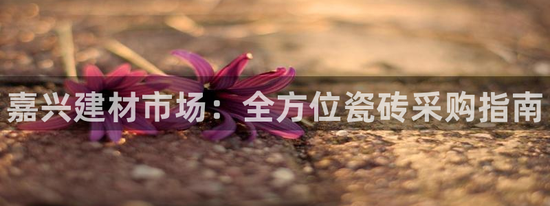 杏鑫娱乐多少年了