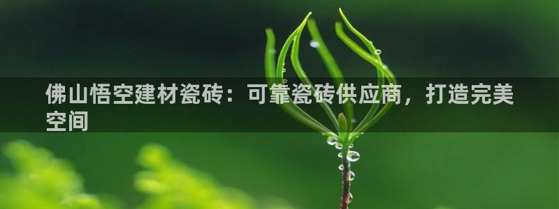 杏鑫官方平台怎么样啊知乎