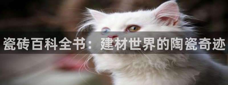 杏鑫平台怎么样黑钱吗安全吗