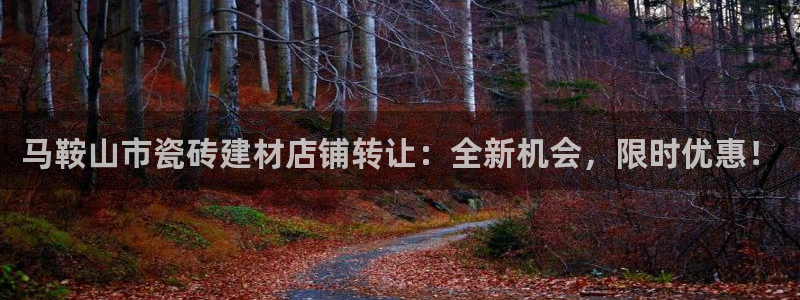 杏鑫官网最新信息
