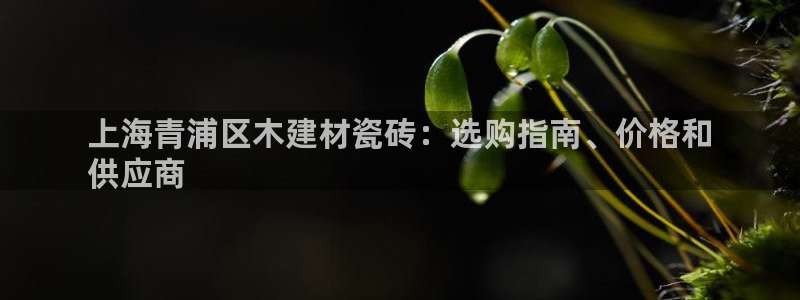 杏鑫平台代理