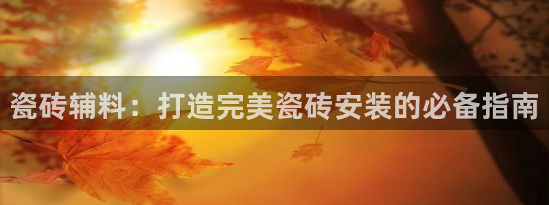 杏鑫官网最新信息