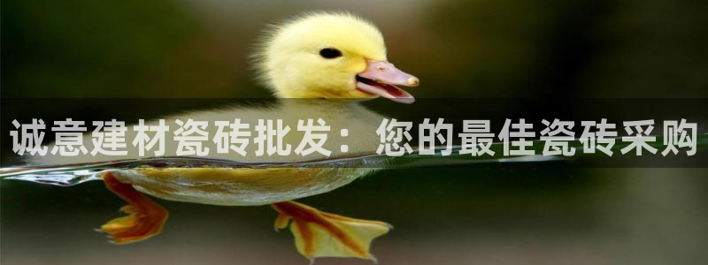 杏鑫官网最新信息新闻