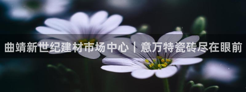 杏鑫官方平台怎么样啊安全吗