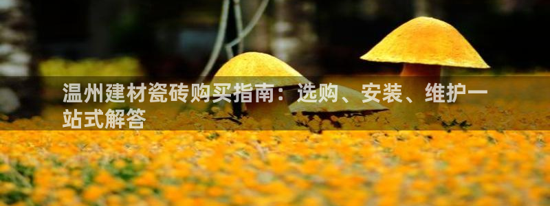 杏鑫娱乐负责人