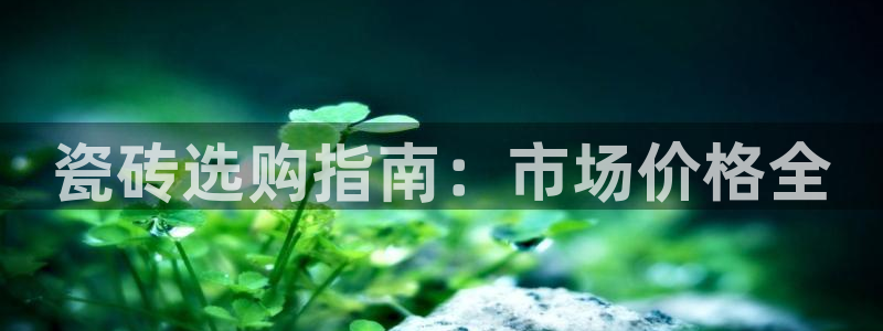 杏鑫平台代理怎么做赚钱