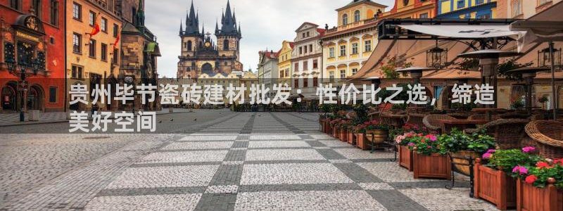 杏鑫娱乐开发团队