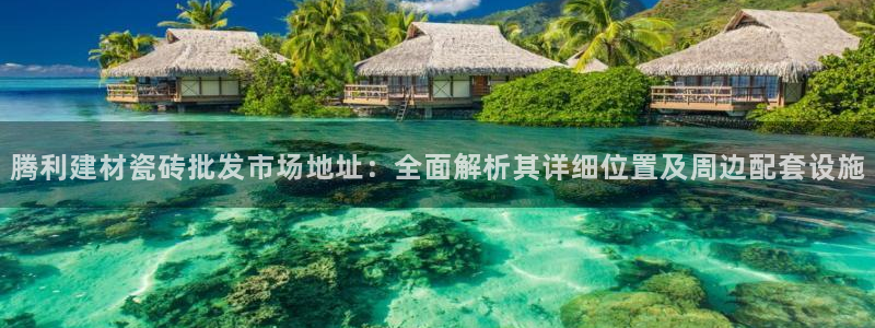 杏鑫平台正规吗可信吗