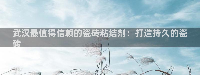 杏鑫有亏损返点吗