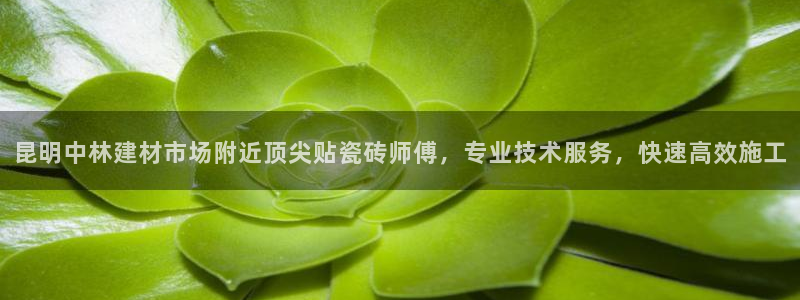 杏鑫娱乐是真的吗